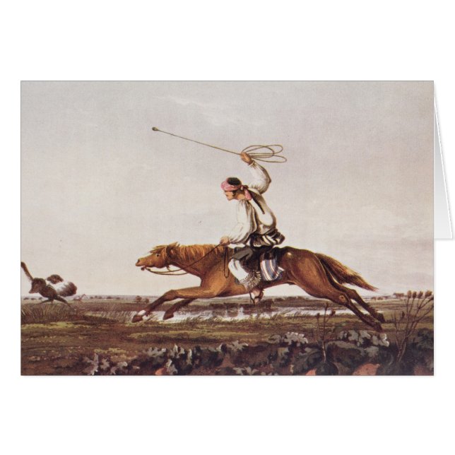 Balling Ostriches (Voorkant Horizontaal)