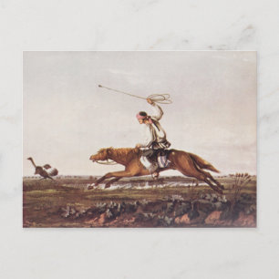 Balling Ostriches Briefkaart