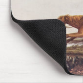 Balling Ostriches Muismat (Hoek)