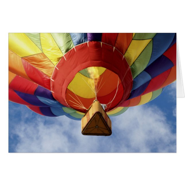 ballon 6139 (Voorkant Horizontaal)