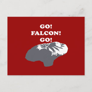 Ballon Boy - Go Falcon Go Briefkaart