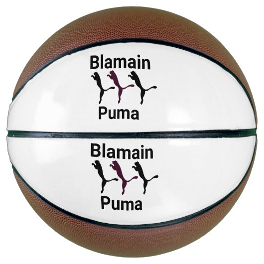 Ballon De Basket Balmain puma basketball (Devant)