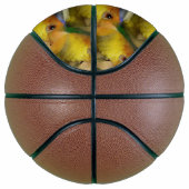 Ballon De Basket Charmant perroquet caïque à ventre blanc (Droite)