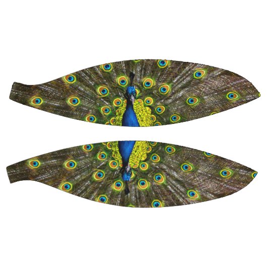 Ballon De Basket Colorful peacock (Panneaux)