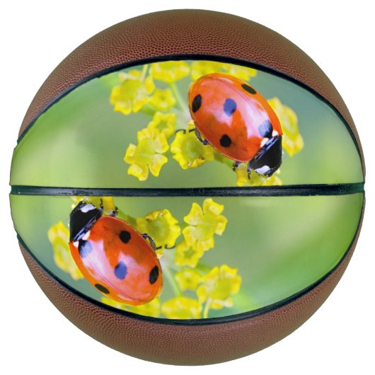 Ballon De Basket dame sur le dessus (Devant)