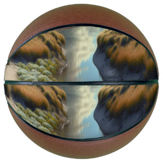 Ballon De Basket Dunes côtières néerlandaises
