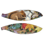 Ballon De Basket Écureuil de basket (Panneaux)