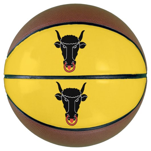 Ballon De Basket Fullsize Basketball with Flag of Uri Canton (Devant)