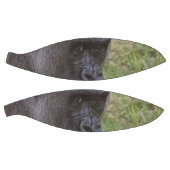 Ballon De Basket Gorilla (Panneaux)