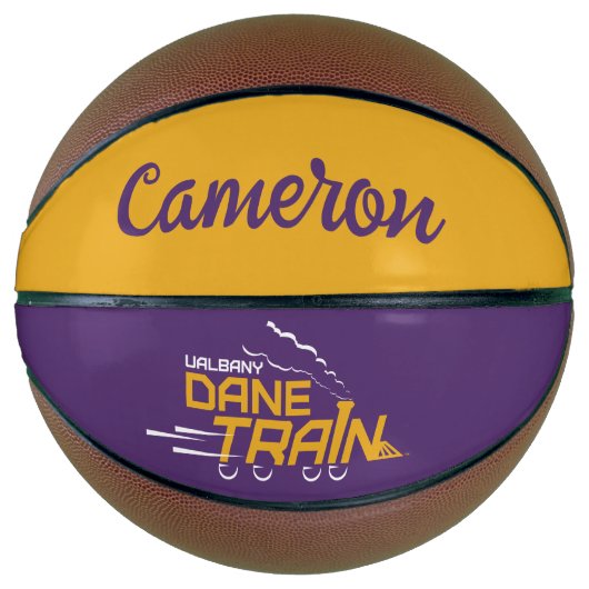 Ballon De Basket Logo du train UAlbany Dane (Devant)