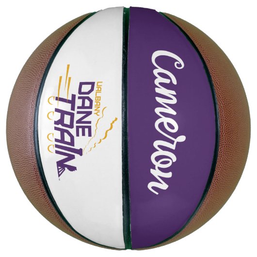 Ballon De Basket Logo du train UAlbany Dane (Vertical)