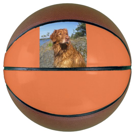 Ballon De Basket mouillé (Devant)