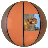 Ballon De Basket mouillé (Vertical)