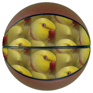 Ballon De Basket Perroquet jaune vif de Lutino Indian Ringneck
