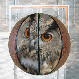 Ballon De Basket photographie de hibou cool