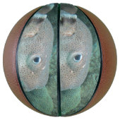 Ballon De Basket Poisson Porcupine fermé (Vertical)