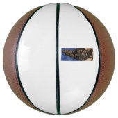 Ballon De Basket Regal Dave Basketball (Vertical)