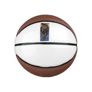 Ballon De Basket Regal Dave Mini