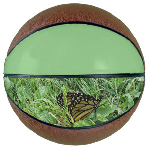 Ballon De Basket Un papillon monarque