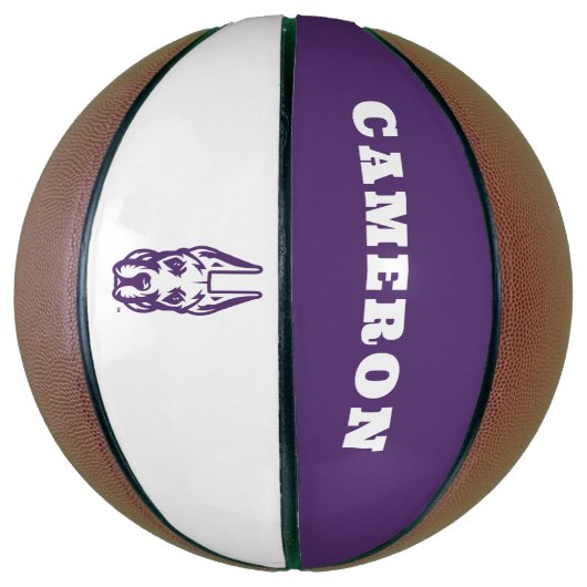 Ballon De Basket Université d'Albany Chef de la mascotte Great Dane (Vertical)