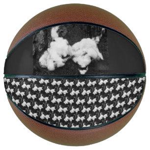 Ballon De Basket vers le bas basketball moelleux