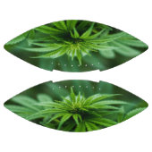 Ballon De Foot Belle mauvaise herbe (Panneaux)