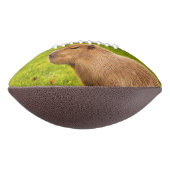 Ballon De Foot Capybara (Tourné à 270°)