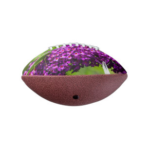 Ballon De Foot énergie de la sauterelle