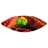 Ballon De Foot explorateur de moustiques (Panneau)