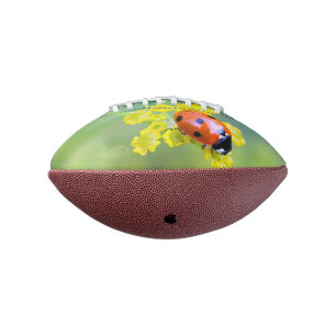 Ballon De Foot femme au sommet