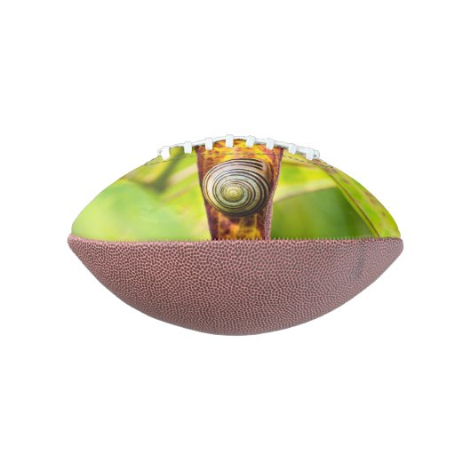 Ballon De Foot fixation calme (Tourné à 90°)