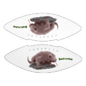 Ballon De Foot Illustration du dragon de Komodo (Panneaux)