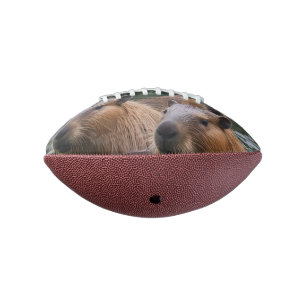 Ballon De Foot La Nage Des Capybaras Dans La Rivière,