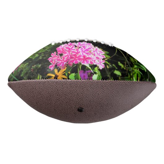 Ballon De Foot Peppermint Twist Phlox dans le jardin des fleurs (Tourné à 270°)
