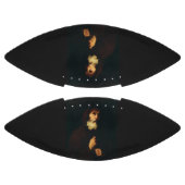 Ballon De Foot Saint François de Paola (Panneaux)