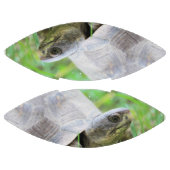 Ballon De Foot Tortue (Panneaux)