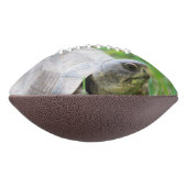 Ballon De Foot Tortue (Tourné à 90°)