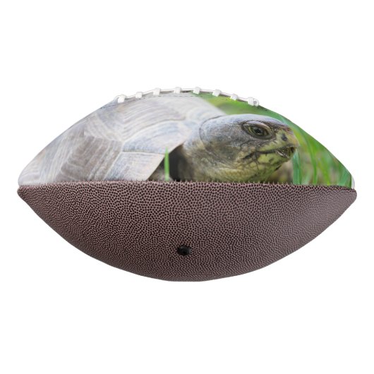 Ballon De Foot Tortue (Tourné à 270°)