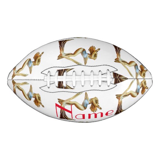 Ballon De Foot yoga aérien Thunder_Cove (Devant)