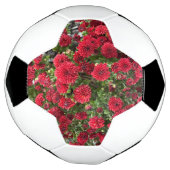 ballon de football (Tourné)