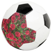 ballon de football (3/4)