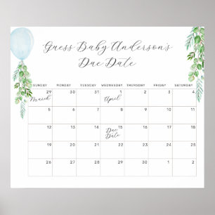 Ballon Eucalyptus Raad Baby Verwachte Datum Kalend Poster