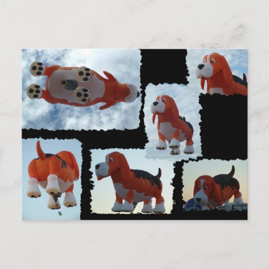 ballon Fiesta Dog Briefkaart (Voorkant)