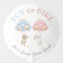 Fête de révélation de genre de l'ours et du lapin