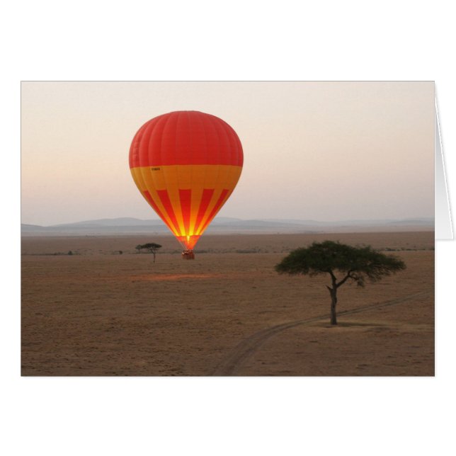 ballonboom (Voorkant Horizontaal)