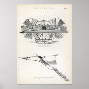 Ballonnen Poster