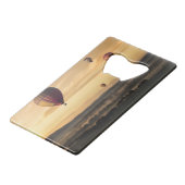 Ballons à air chauds (Devant Angle)