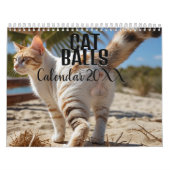 Ballons de chat 2026 drôle Calendrier (Protection)