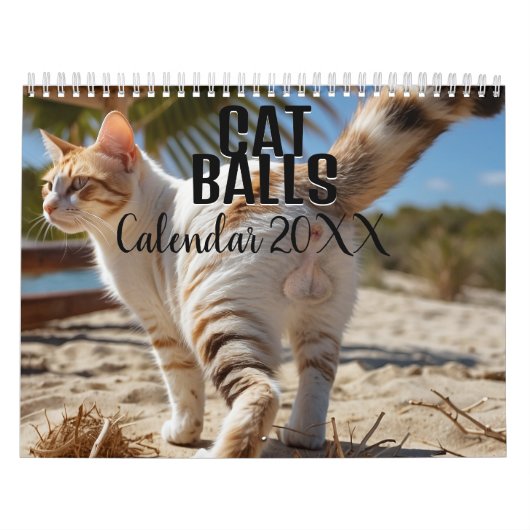 Ballons de chat 2026 drôle Calendrier (Protection)