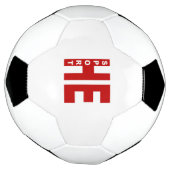 Balloon of foot HESSEN GERMANY SPORT (Tourné)